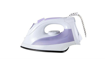 Purchase and Usage of Household Steam Iron